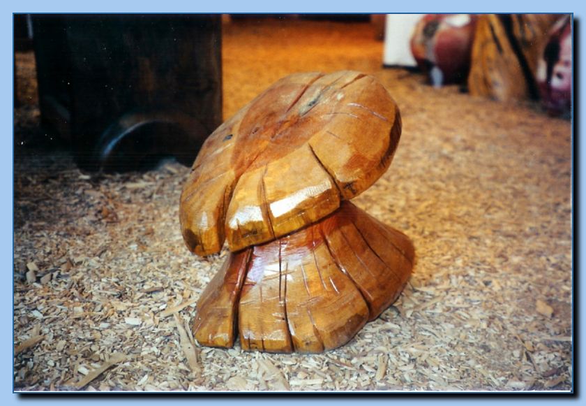 1-27a toadstool